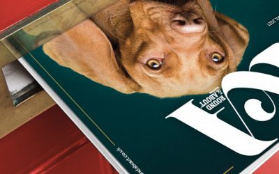 ROUND & ABOUT MAGAZINE